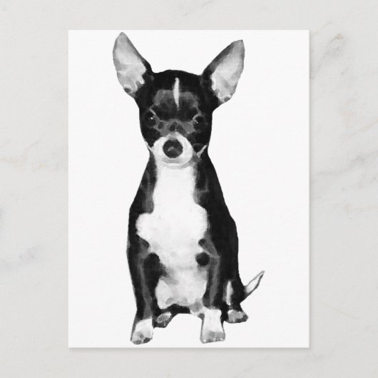 Briefkaart Chihuahua (Voorkant)
