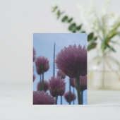 Briefkaart - Chives Afbeelding 1 (Staand voorkant)