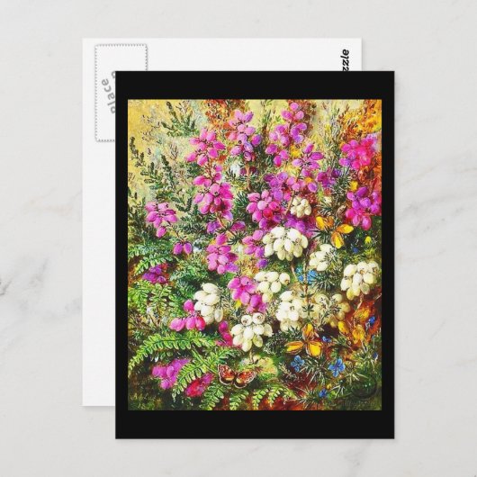 Briefkaart-Classic/-Albert Durer Lucas 5 Briefkaart (Voorkant / Achterkant)