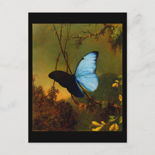 Briefkaart-Classic/-Martin Johnson Heade 3 Briefkaart (Voorkant)