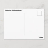 briefkaart "Cleveland, Ohio Landscape" (Achterkant)