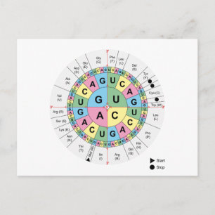 Briefkaart Codons Aminozuren Grafiek Genetische DN