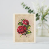 Briefkaart  Collectie - Vol.3 - Briefkaart (Staand voorkant)