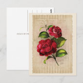 Briefkaart  Collectie - Vol.3 - Briefkaart (Voorkant / Achterkant)