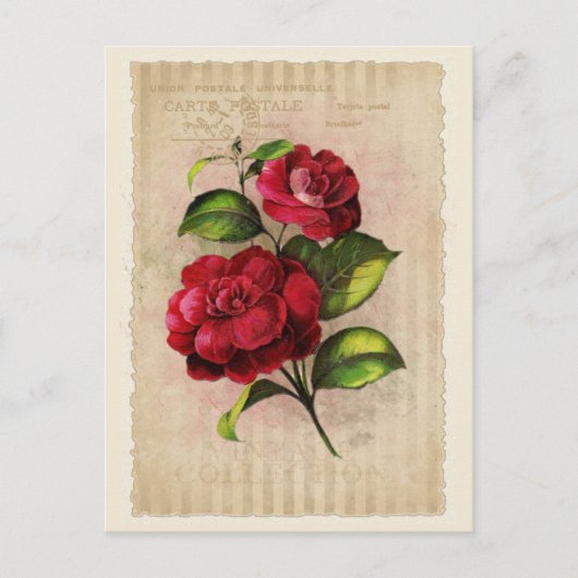 Briefkaart  Collectie - Vol.3 - Briefkaart (Voorkant)