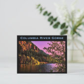 Briefkaart Columbia River Gorge (Staand voorkant)