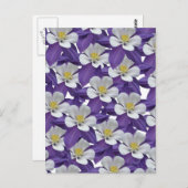 Briefkaart Columbine Paars en White Flower Pattern (Voorkant / Achterkant)