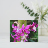 Briefkaart - Cooktown Orchid (Staand voorkant)
