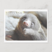 Briefkaart Costa Rica souvenir  (Voorkant)