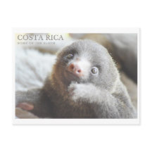 Briefkaart Costa Rica souvenir