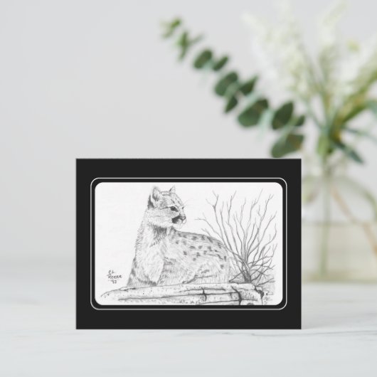 Briefkaart Cougar Kitten (Staand voorkant)