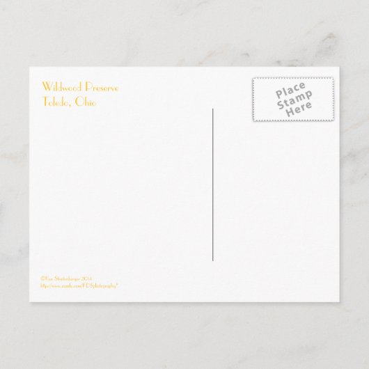 briefkaart, "Covered Bridge at Wildwood Preserve" Briefkaart (Achterkant)