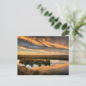 Briefkaart - Coyote Hills Regional Park, Californi (Staand voorkant)