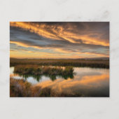 Briefkaart - Coyote Hills Regional Park, Californi (Voorkant)