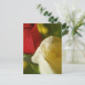 briefkaart "Crimson and Cream" (Staand voorkant)