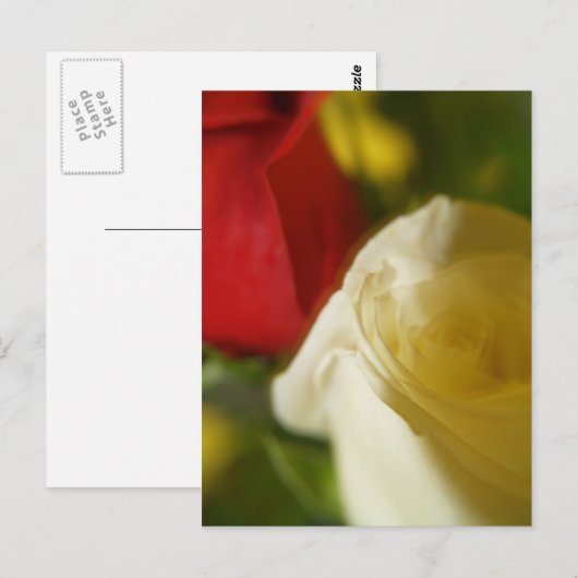 briefkaart "Crimson and Cream" (Voorkant / Achterkant)