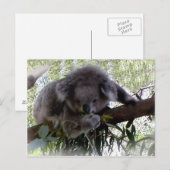 Briefkaart Cudly Koala (Voorkant / Achterkant)