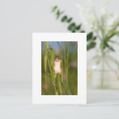 Briefkaart - Cute Field Mouse (Staand voorkant)