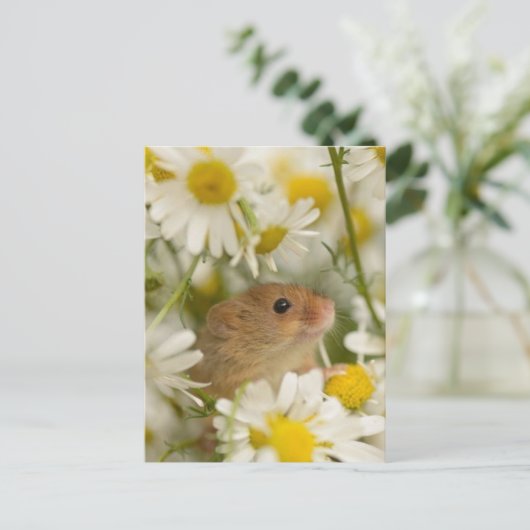 Briefkaart - Cute Mouse van de Daisy (Staand voorkant)