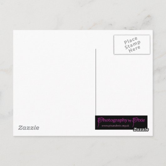 Briefkaart - Cute Rainbow Owl Pattern (Achterkant)