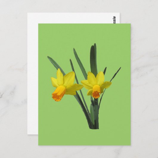 Briefkaart - Daffodil (Voorkant / Achterkant)