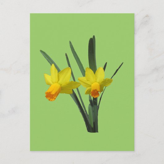 Briefkaart - Daffodil (Voorkant)