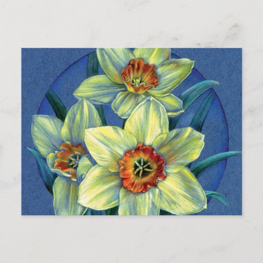 briefkaart "Daffodils - the joys of spring" (Voorkant)