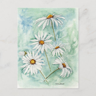 briefkaart "Daisies"