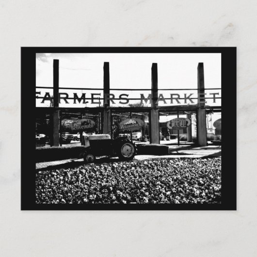 Briefkaart-Dallas Fotografie-12 Briefkaart (Voorkant)