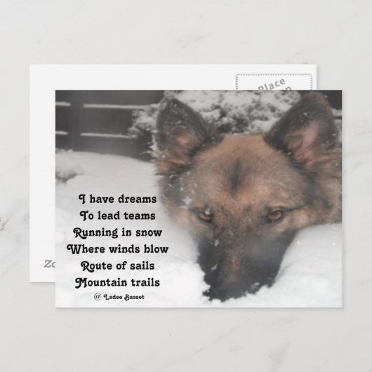 Briefkaart dat ik droomgedicht heb van Ladee Basse (Voorkant / Achterkant)