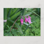 Briefkaart Datum opslaan (Voorkant)