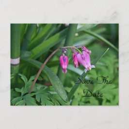 Briefkaart Datum opslaan