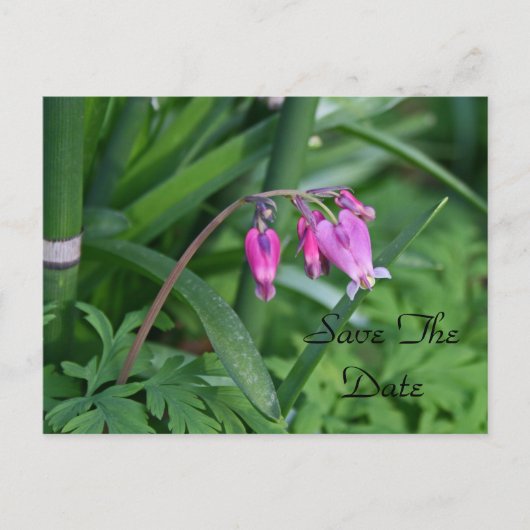 Briefkaart Datum opslaan (Voorkant)