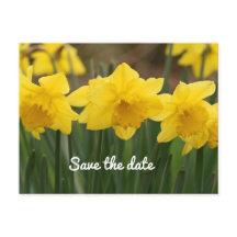 Briefkaart Datum opslaan