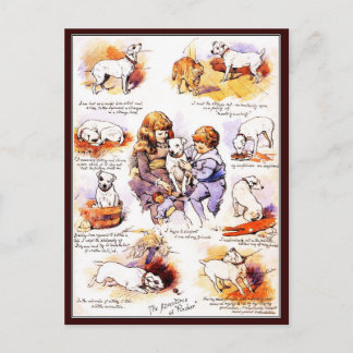 Briefkaart: De avonturen van Pincher the Dog Briefkaart