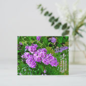 Briefkaart - De Paarse Lilacs of Highland Park (Staand voorkant)