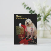 Briefkaart - de Van een hond Groet van Kerstmis - (Staand voorkant)