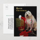 Briefkaart - de Van een hond Groet van Kerstmis - (Voorkant / Achterkant)