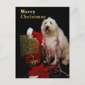 Briefkaart - de Van een hond Groet van Kerstmis - (Voorkant)