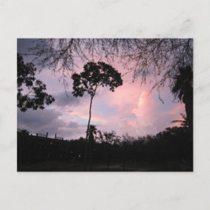 Briefkaart: De Wereld Florida van de zonsondergang Briefkaart
