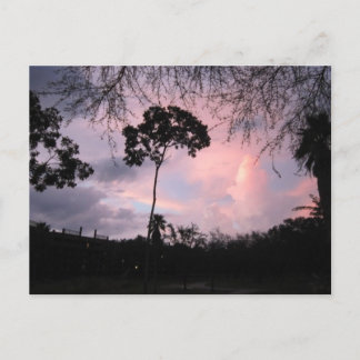 Briefkaart: De Wereld Florida van de zonsondergang Briefkaart
