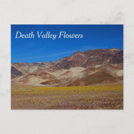 Briefkaart Death Valley Flowers