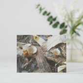 Briefkaart december Cup champignon (Staand voorkant)