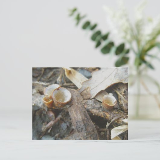 Briefkaart december Cup champignon (Staand voorkant)