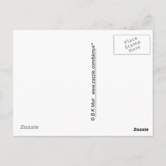 Briefkaart - Derelict Boat (Achterkant)