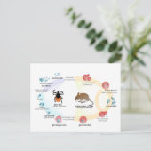 Briefkaart Diagram Babesia microti levenscyclus (Staand voorkant)