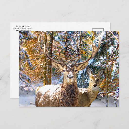 briefkaart "Diep in het bos" (Voorkant / Achterkant)