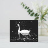 Briefkaart-dieren-23 Briefkaart (Staand voorkant)