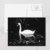 Briefkaart-dieren-23 Briefkaart (Voorkant / Achterkant)