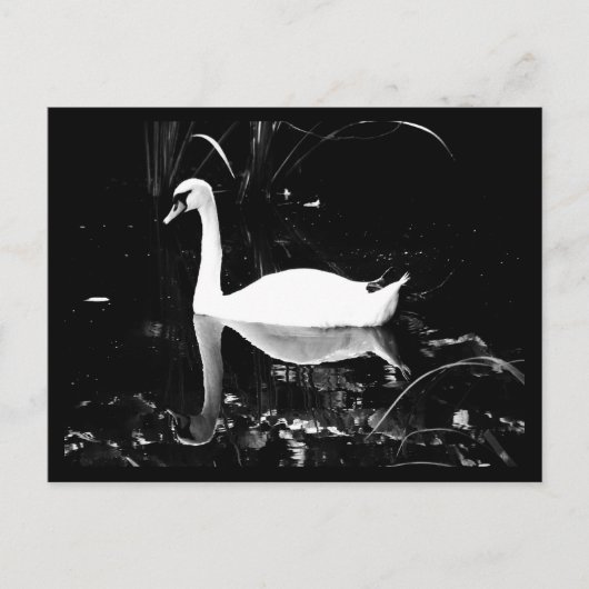Briefkaart-dieren-23 Briefkaart (Voorkant)